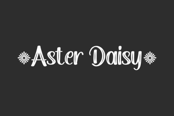 Aster Daisy: The Script Font That Elevates Campaign Visuals