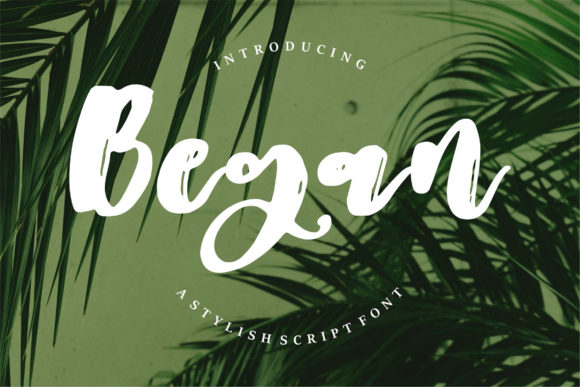 Began Font Review: A Delicate Script for Brand Identity