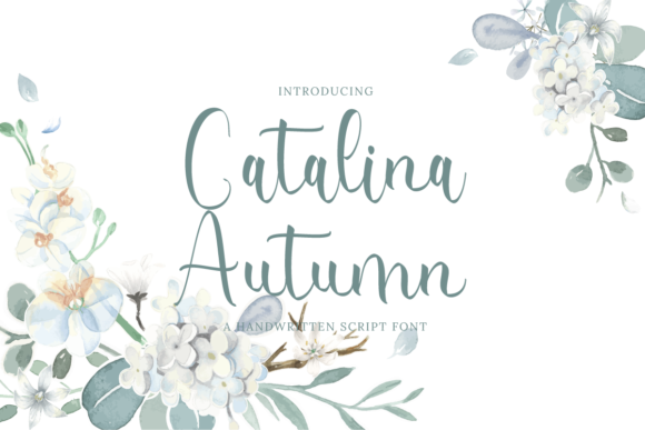 Catalina Autumn Font Review for Web Designers
