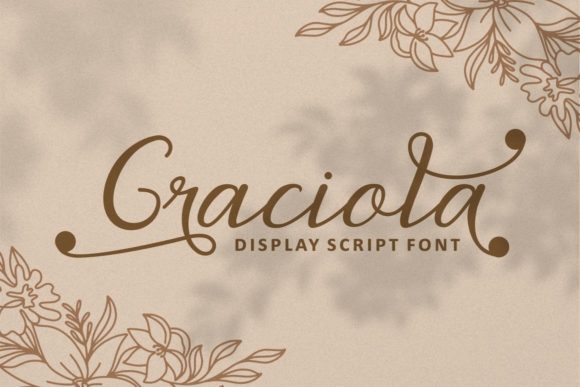 Graciola Font Review: Elevating Web Design with Style