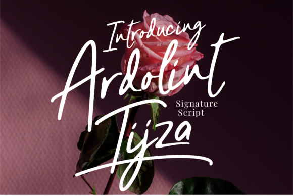 Why Ardolint Tijza Is the Perfect Script Font for Your Brand